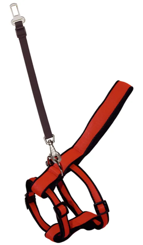 Arnés Nylon Acolchado + Correa Automóvil Talla 5