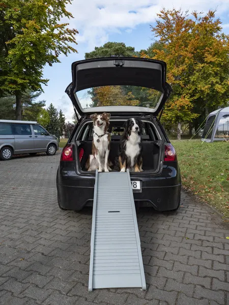 Rampa para perros EMMA (40 Kg. de carga)