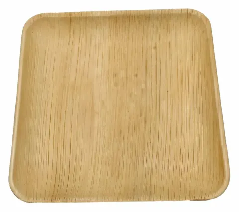 10 platos de postre reutilizables ARECABIO