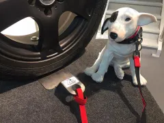 Camping con mascotas: Mascota -Dog Sitter – Enganche para animales de compañía en Aluminio