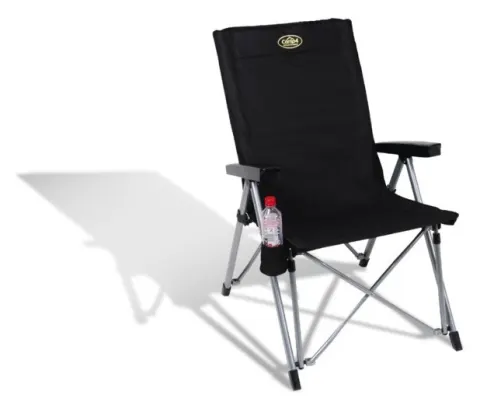 Silla plegable palma con reposabrazos Y