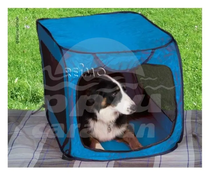 Casa Mascota Pop Up