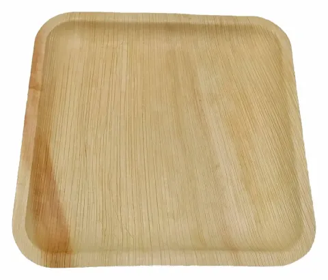 10 platos reutilizables ARECABIO