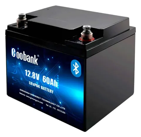Batería Litio LiFePO4 60Ah Coobank 12.8V Bluetooth BMS