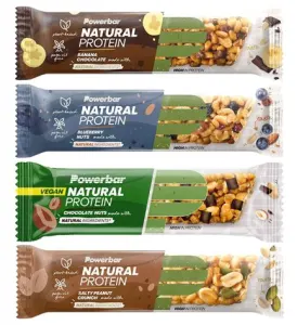 Powerbar Natural Protein Bar Salty Peanut Crunch 40 gr