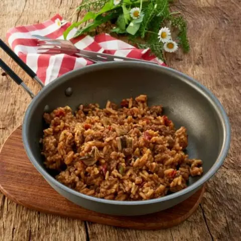 Ternera Stroganoff con arroz Trek’n Eat