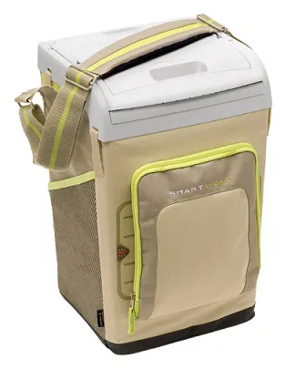 Nevera Picnic 22 Lt