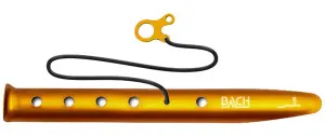 Bach Pegs Snow