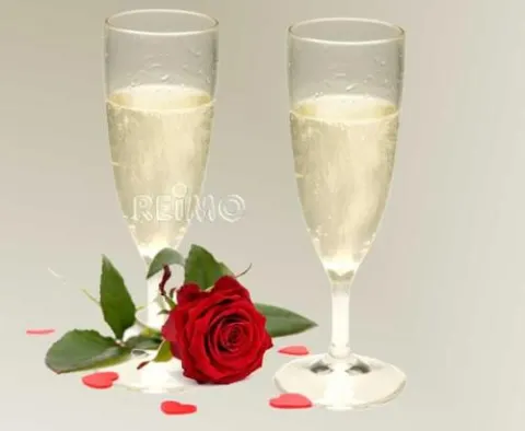 Copas De Champán De Plástico Provence 160ml, Set De 2 (Policarbonato)