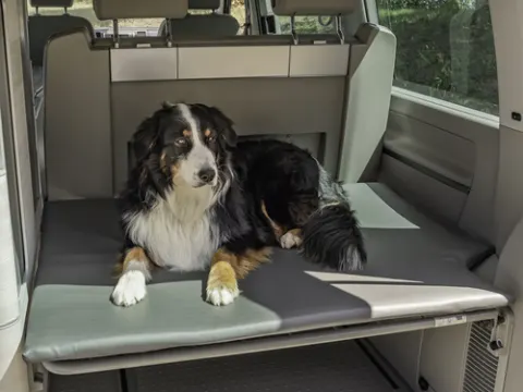 Colchón para perros – Edición trasera para VW T5/T6 California